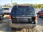 2005 Ford Escape XLT