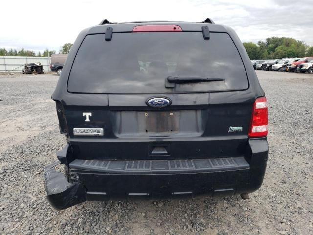 2011 Ford Escape XLT