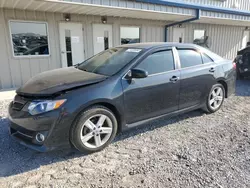 Salvage cars for sale at Earlington, KY auction: 2014 Toyota Camry L