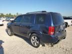 2013 Honda Pilot EXL