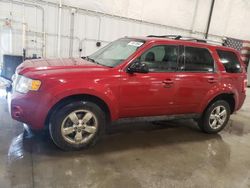 Salvage cars for sale at Avon, MN auction: 2012 Ford Escape Limited