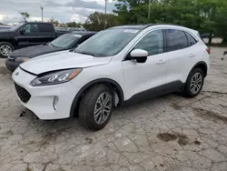 Salvage cars for sale at Lexington, KY auction: 2020 Ford Escape SEL