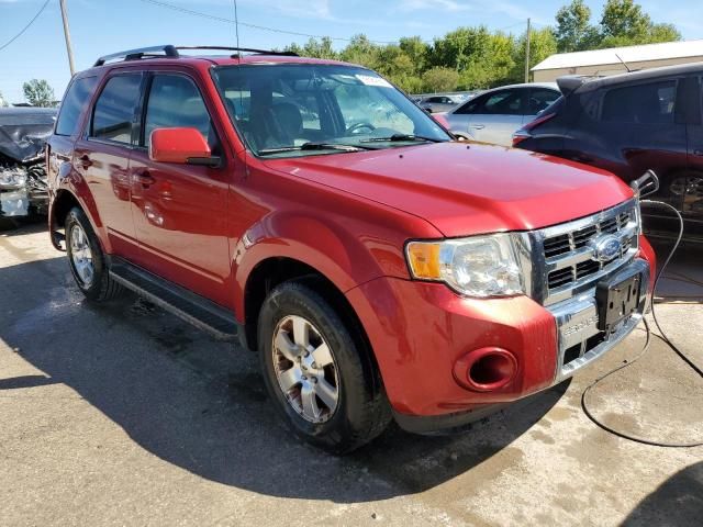 2012 Ford Escape Limited