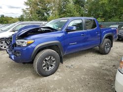 Salvage cars for sale at Candia, NH auction: 2023 Toyota Tacoma Double Cab