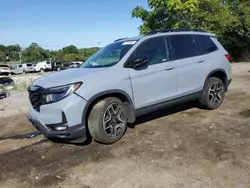 Salvage cars for sale at Baltimore, MD auction: 2022 Honda Passport Elite