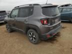 2019 Jeep Renegade Trailhawk