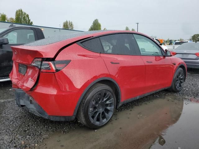 2020 Tesla Model Y