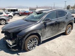 Salvage Cars with No Bids Yet For Sale at auction: 2025 Lexus NX 250 Base