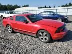 2006 Ford Mustang