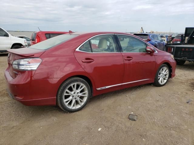 2010 Lexus HS 250H