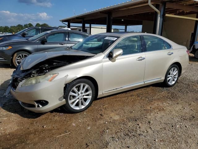 2010 Lexus ES 350