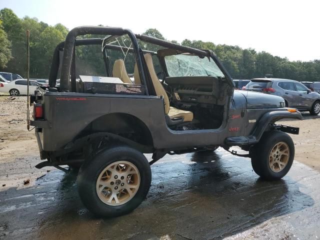 1994 Jeep Wrangler / YJ S