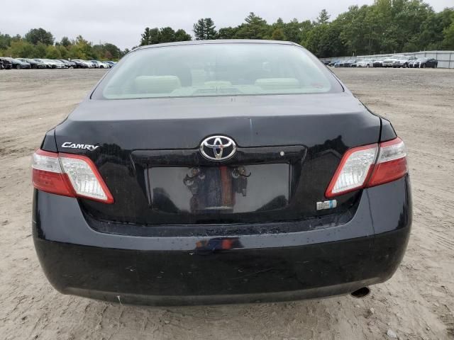 2009 Toyota Camry Hybrid