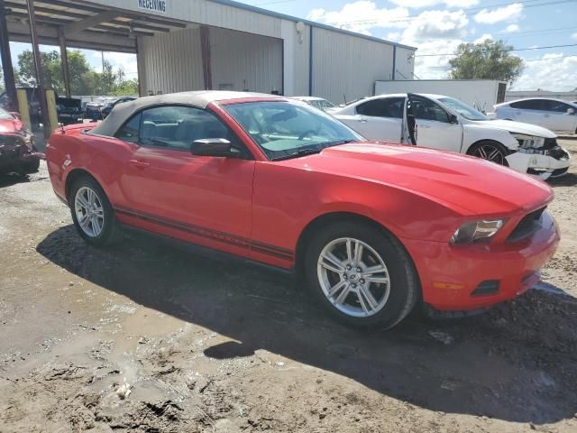 2010 Ford Mustang