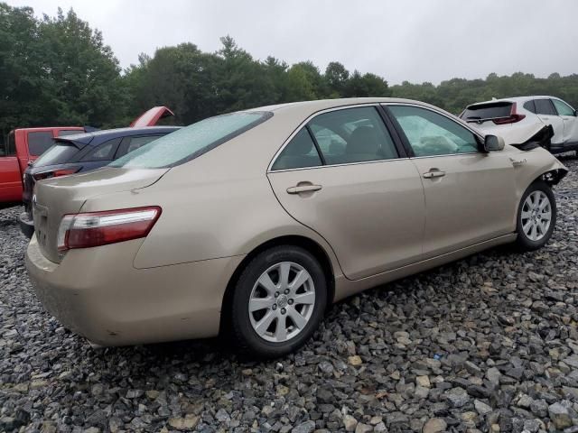 2008 Toyota Camry Hybrid