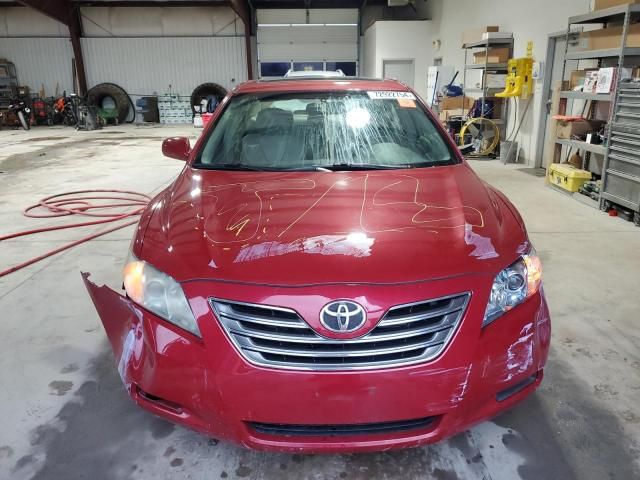 2009 Toyota Camry Hybrid