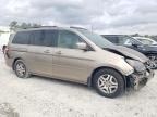 2005 Honda Odyssey Touring