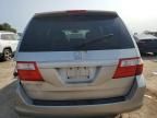 2007 Honda Odyssey EXL