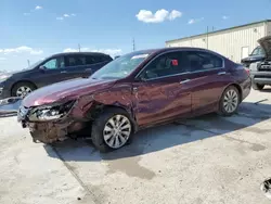 2013 Honda Accord EXL en venta en Haslet, TX