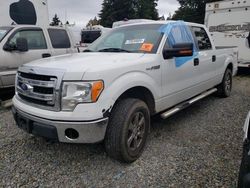 Ford salvage cars for sale: 2013 Ford F150 Supercrew