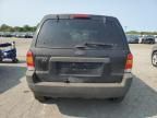 2004 Ford Escape XLT