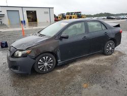 Toyota salvage cars for sale: 2009 Toyota Corolla Base