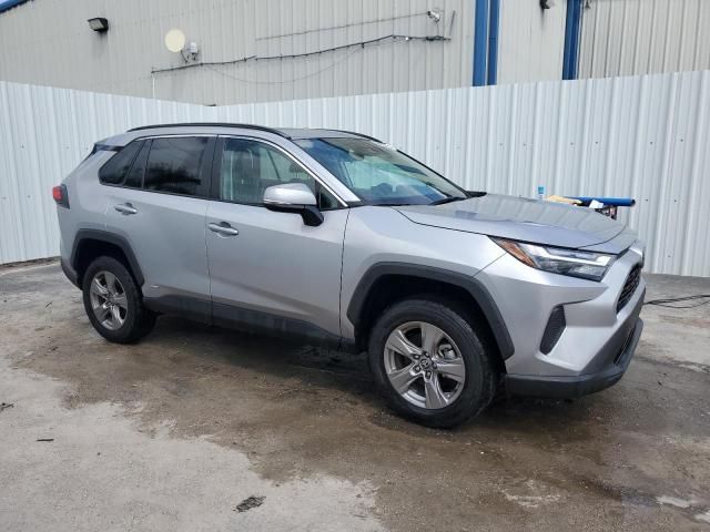 2023 Toyota Rav4 XLE