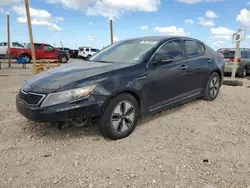 Salvage cars for sale at Amarillo, TX auction: 2011 KIA Optima Hybrid