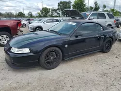 Salvage cars for sale at Riverview, FL auction: 2004 Ford Mustang GT