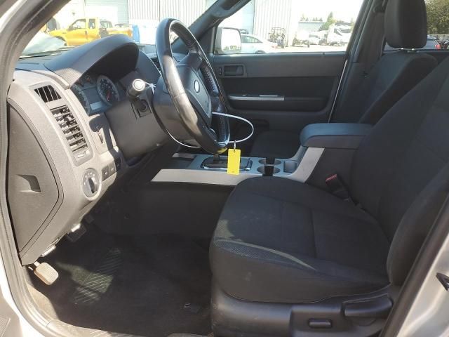 2009 Ford Escape XLT