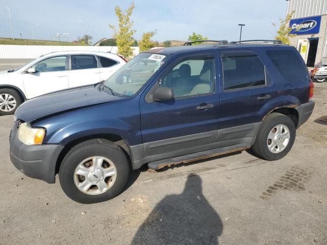 2003 Ford Escape XLT