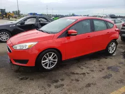 Ford salvage cars for sale: 2016 Ford Focus SE