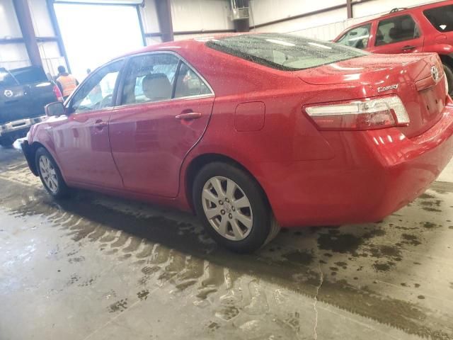 2008 Toyota Camry Hybrid