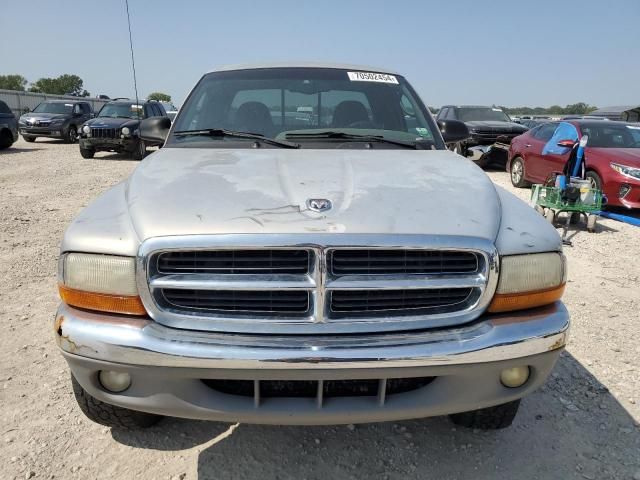 2000 Dodge Dakota