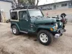 1999 Jeep Wrangler / TJ Sahara