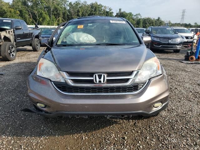 2010 Honda CR-V EXL