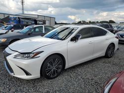 Salvage cars for sale at Riverview, FL auction: 2023 Lexus ES 350 Base