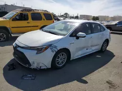 Toyota Corolla le Vehiculos salvage en venta: 2020 Toyota Corolla LE