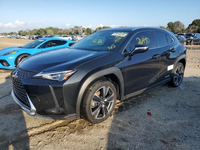 2021 Lexus UX 250H