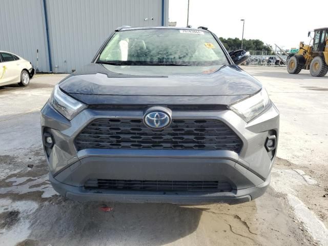 2022 Toyota Rav4 XLE Premium