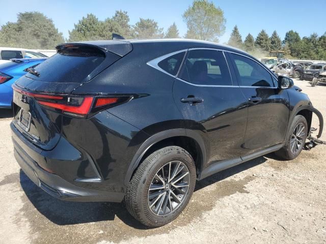 2023 Lexus NX 350