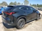 2023 Lexus NX 350