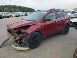 Salvage cars for sale at Louisville, KY auction: 2015 Ford Escape SE