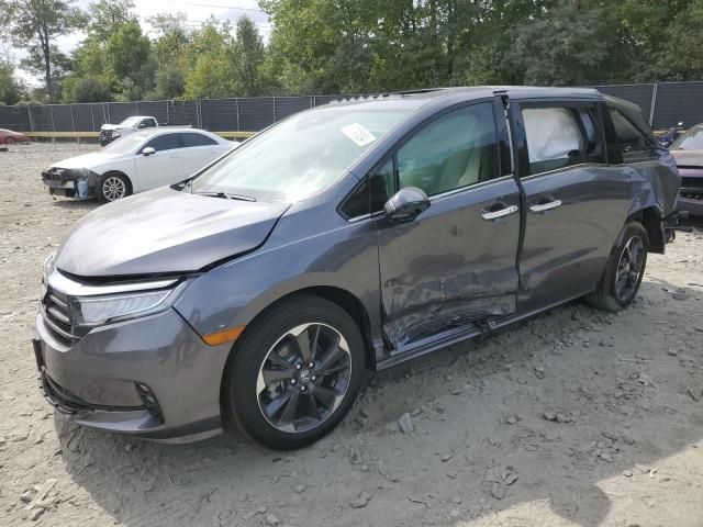 2024 Honda Odyssey Elite