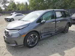 Salvage cars for sale at Waldorf, MD auction: 2024 Honda Odyssey Elite