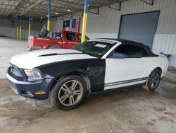 Salvage cars for sale at Corpus Christi, TX auction: 2011 Ford Mustang