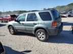 2007 Ford Escape XLT