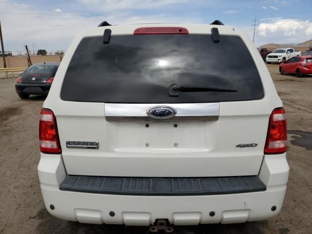 2009 Ford Escape Limited