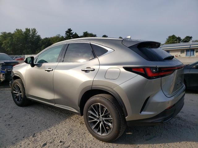 2022 Lexus NX 250