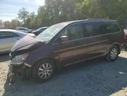 Honda salvage cars for sale: 2009 Honda Odyssey EXL